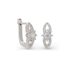 Серебряные серьги с кубическим цирконием Silver Selection для женщин W56190496 1000000034573 цена и информация | Серьги | 220.lv