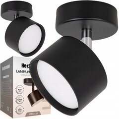 Griestu lampa Heckermann цена и информация | Потолочные светильники | 220.lv