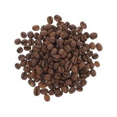 Tucangua Brazīlijas kafija 100% Arabica Santos, 250 g cena un informācija | Kafija, kakao | 220.lv