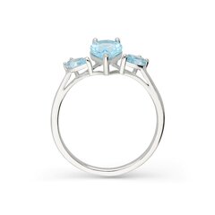 Серебряное кольцо с топазом Silver Colours для женщин W61318768 1000000031637 цена и информация | Кольца | 220.lv
