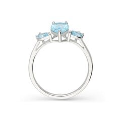 Серебряное кольцо с топазом Silver Colours для женщин W61334684 1000000031768 цена и информация | Кольца | 220.lv