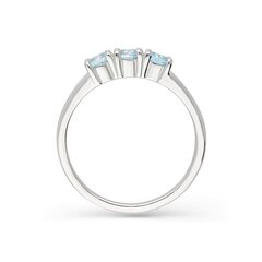 Серебряное кольцо с топазом Silver Colours для женщин W61334684 1000000031768 цена и информация | Кольца | 220.lv