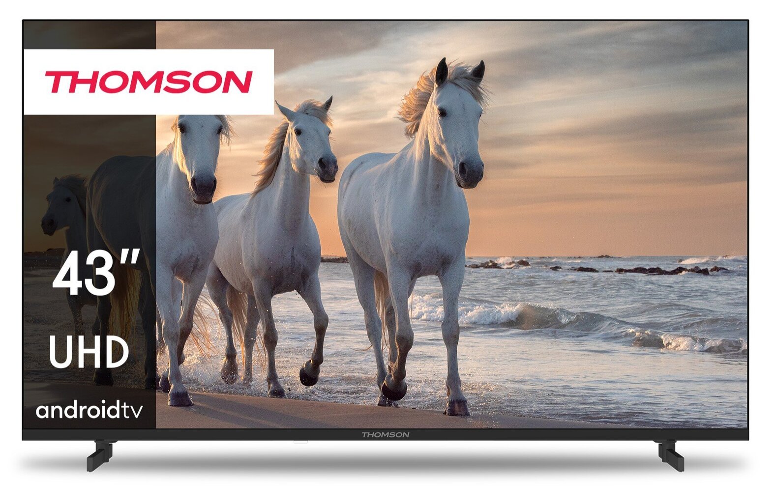Thomson 43UA5S13 цена и информация | Televizori | 220.lv
