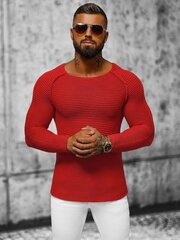 Džemperis vīriešiem Terel, sarkans cena un informācija | Vīriešu džemperi | 220.lv
