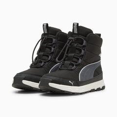 Puma Обувь Evolve Boot Jr Black 392644 01 392644 01/4 цена и информация | Кроссовки мужские | 220.lv