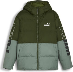 Puma Куртки Power Hooded Green 675389 31 675389 31/XL цена и информация | Мужские куртки | 220.lv