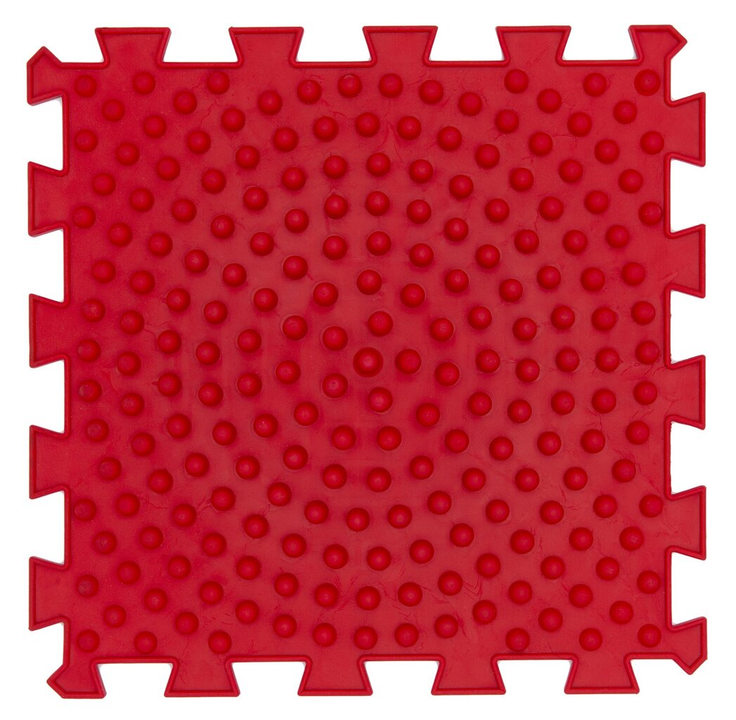 Krāsains grīdas paklājs Puzzle, 8 gab. cena un informācija | Attīstošie paklājiņi | 220.lv