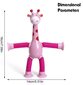 Žirafe ar LED lampu Fidget Tube Game, 1gab. cena un informācija | Attīstošās rotaļlietas | 220.lv