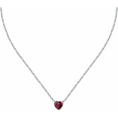 La Petite Story Ожерелье из романтической стали Love Crystal LPS10ASD15 цена и информация | Украшения на шею | 220.lv
