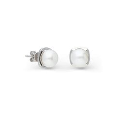 Sudraba auskari ar pērlēm Silver Pearls sievietēm W59386687 cena un informācija | Auskari | 220.lv
