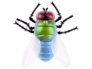 Дистанционно управляемая наземная муха цена и информация | Игрушки для мальчиков | 220.lv