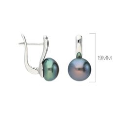 Sudraba auskari ar pērlēm Silver Pearls sievietēm W60617704 cena un informācija | Auskari | 220.lv