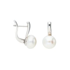 Sudraba auskari ar pērlēm Silver Pearls sievietēm W59374547 cena un informācija | Auskari | 220.lv