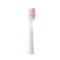 FairyWill Toothbrush Tips E11 cena un informācija | Uzgaļi elektriskajām zobu birstēm | 220.lv