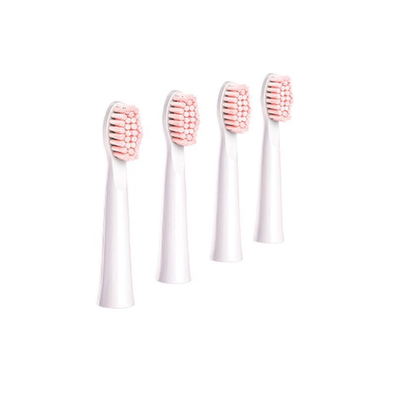 FairyWill Toothbrush Tips E11 cena un informācija | Uzgaļi elektriskajām zobu birstēm | 220.lv