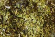 Tēja Yerba Mate Green Papaja Moringa, 50 g цена и информация | Tēja | 220.lv