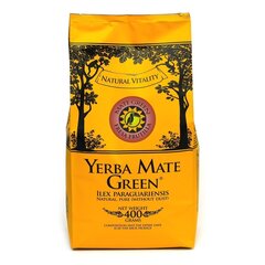 Tēja Yerba Mate Green Fresa Frutilla, 400 g cena un informācija | Tēja | 220.lv