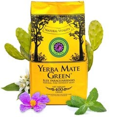 Чай Yerba Mate Green Mas Energia Guarana, 400 г цена и информация | Чай | 220.lv