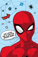 Disney плед Spiderman Star, 100x150 см цена и информация | Покрывала, пледы | 220.lv