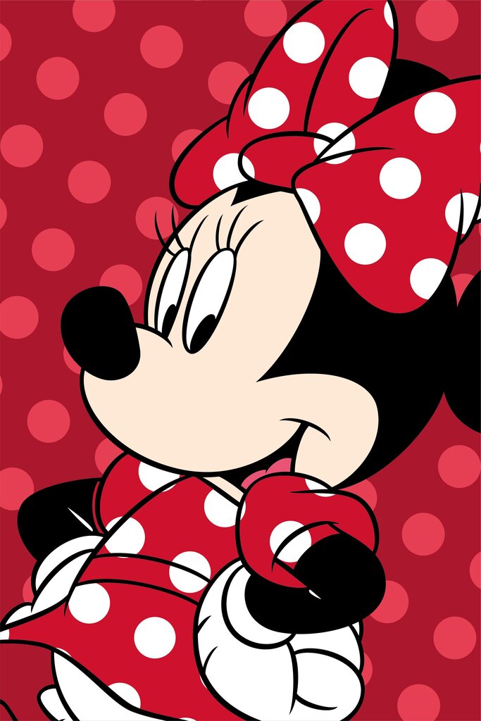 Disney pleds Minnie Red, 100x150 cm цена и информация | Gultas pārklāji, pledi | 220.lv