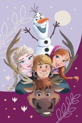 Плед Disney Frozen Family, 100х150 см цена и информация | Покрывала, пледы | 220.lv