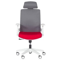 2-u biroja krēslu komplekts Wood Garden Carmen 7546, sarkans/pelēks цена и информация | Офисные кресла | 220.lv