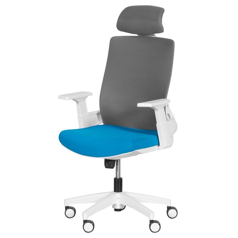 2-u biroja krēslu komplekts Wood Garden Carmen 7546, zils/pelēks cena un informācija | Biroja krēsli | 220.lv