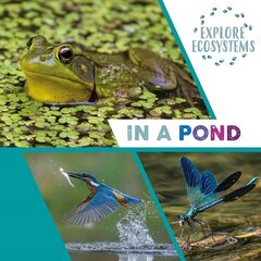 Explore Ecosystems: In a Pond Illustrated edition cena un informācija | Grāmatas pusaudžiem un jauniešiem | 220.lv