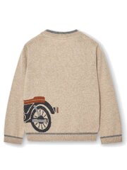 BOBOLI Beige 520238572 цена и информация | Свитеры, жилетки, пиджаки для мальчиков | 220.lv