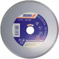 Dimanta disks mitrajai griešanai 300x25,4 mm цена и информация | Шлифовальные машины | 220.lv