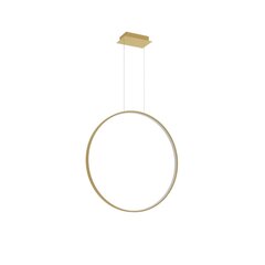 Pendant lamp RIO 78 gold 4000K THORO TH.140 цена и информация | Настенный/подвесной светильник Eye Spot 11 BL, чёрный | 220.lv