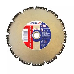 Disku dimanta segments Five Star sauss/slapjš 180x22,2 mm cena un informācija | Slīpmašīnas | 220.lv