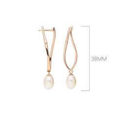 Серебряные серьги с подвеской и жемчугом Silver Pearls для женщин W58553324 1000000035991 цена и информация | Серьги | 220.lv