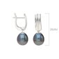 Sudraba auskari ar pērlēm Silver Pearls sievietēm W60935656 cena un informācija | Auskari | 220.lv