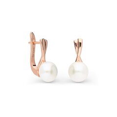 Sudraba auskari ar pērlēm Silver Pearls sievietēm W60936187 cena un informācija | Auskari | 220.lv
