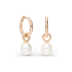 Sudraba auskari ar pērlēm Silver Pearls sievietēm W59388138 cena un informācija | Auskari | 220.lv