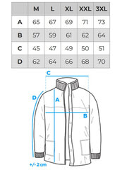 Зимняя куртка мужская Edoti C575 цена и информация | Мужские куртки | 220.lv