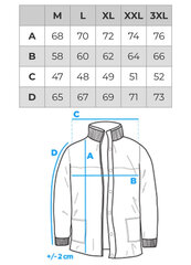 Зимняя куртка мужская Edoti C571 цена и информация | Мужские куртки | 220.lv