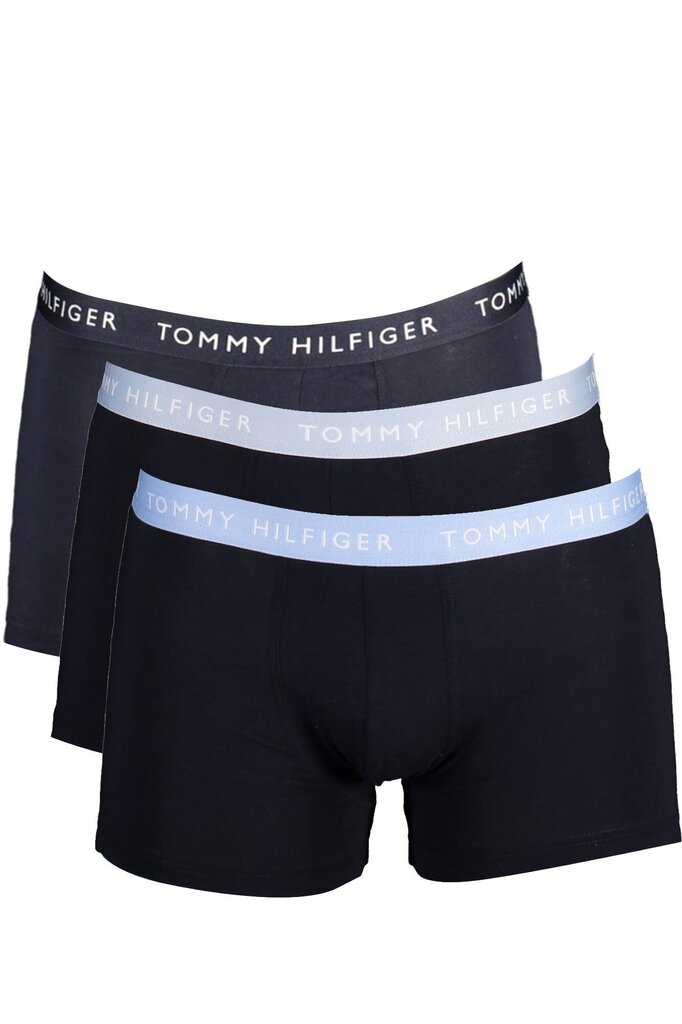 Apakšveļa vīriešiem TOMMY HILFIGER UM0UM02324 цена и информация | Vīriešu apakšbikses | 220.lv