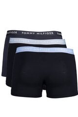 Apakšveļa vīriešiem TOMMY HILFIGER UM0UM02324 cena un informācija | Vīriešu apakšbikses | 220.lv