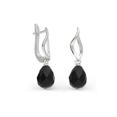 Серебряные серьги с ониксом Silver Colours для женщин W61862764 1000000036294 цена и информация | Серьги | 220.lv