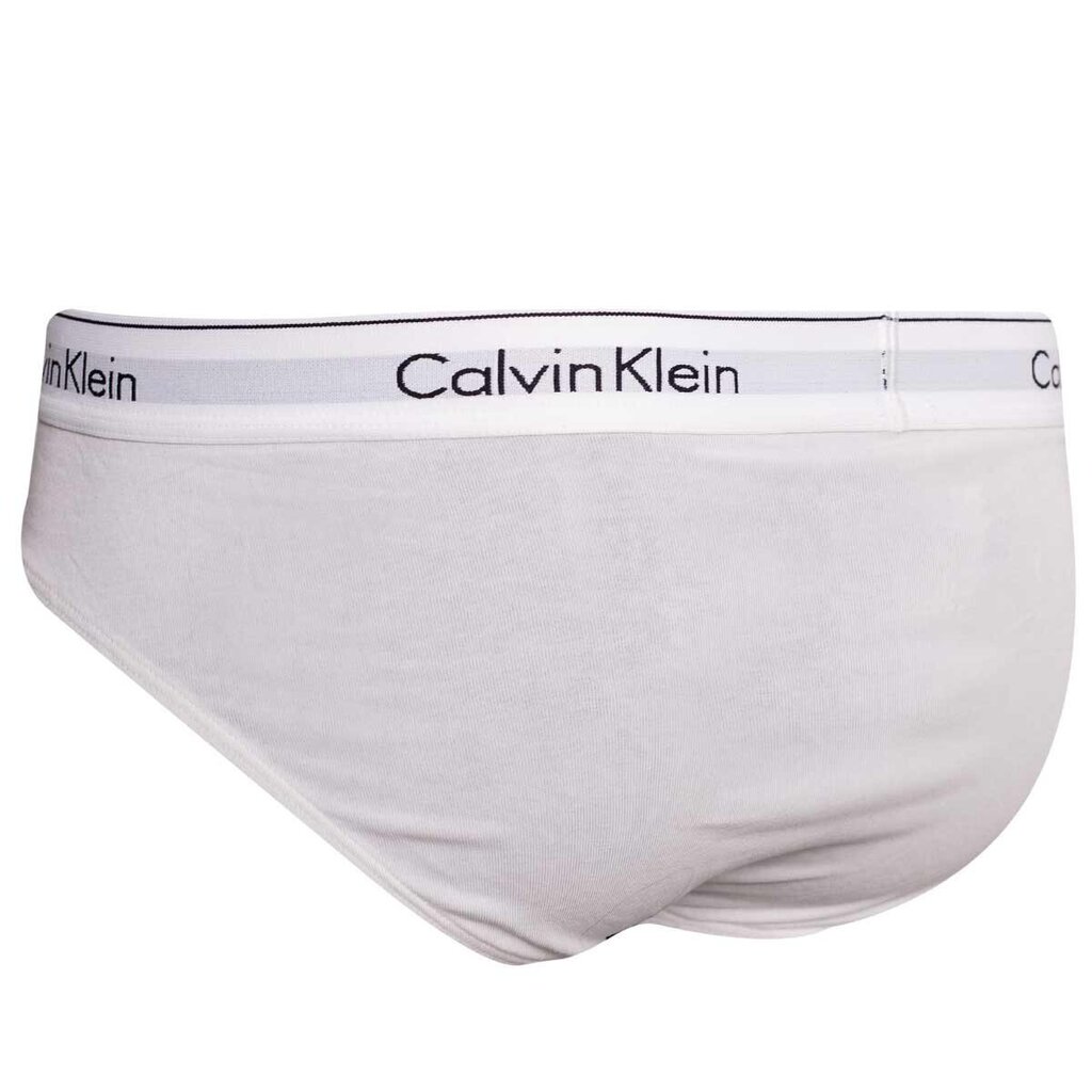 Vīriešu apakšveļa Calvin Klein 000NB2379A cena un informācija | Vīriešu apakšbikses | 220.lv