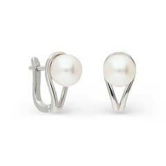 Sudraba auskari ar pērlēm Silver Pearls sievietēm W62636733 cena un informācija | Auskari | 220.lv