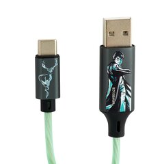 Светящийся зарядный кабель Harry Potter с разъемами USB A - C, длина 1,2 м. цена и информация | Кабели для телефонов | 220.lv