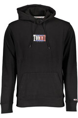 Мужская толстовка Tommy Hilfiger TJM LINEAR LOGO HOODIE, черная DM0DM12942 BDS 44772 цена и информация | Мужские толстовки | 220.lv