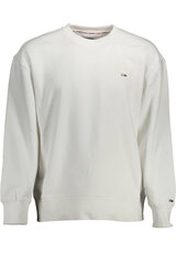 TOMMY HILFIGER džemperis DM0DM12939 cena un informācija | Vīriešu jakas | 220.lv