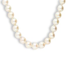 Zelta kaklarota un pērlēm Gold Pearls sievietēm W60809008 цена и информация | Украшения на шею | 220.lv