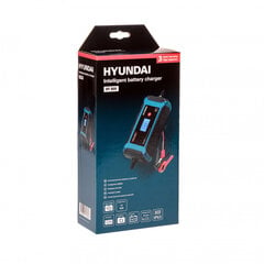 Автомобильное зарядноеустройство Hyunday HY 810 цена и информация | Зарядные устройства для аккумуляторов | 220.lv