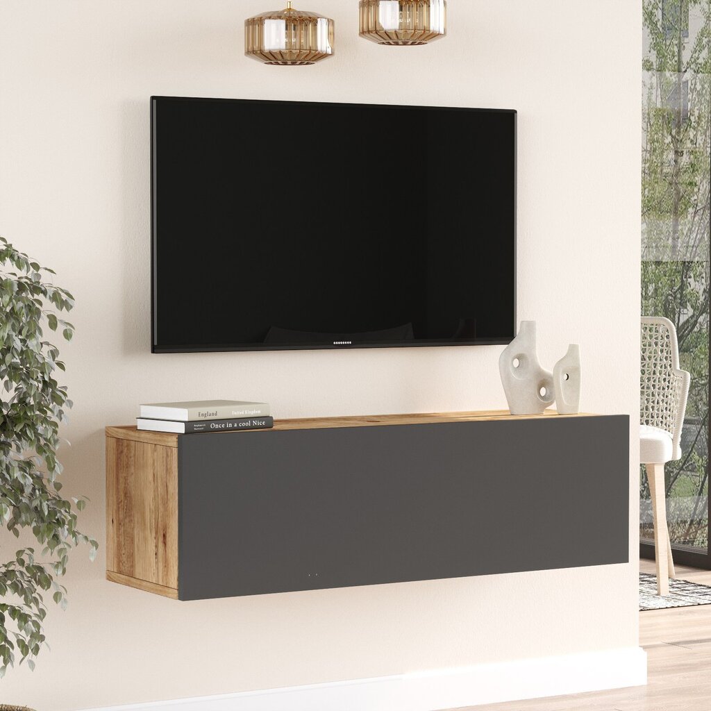 TV skapītis Asir, 100x29,1x29,6cm, melns цена и информация | TV galdiņi | 220.lv