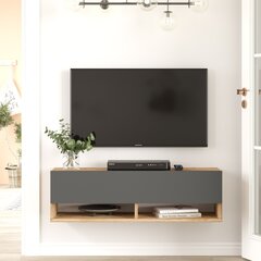 TV skapītis Asir, 100x29,1x31,6cm, pelēks/bēšs cena un informācija | TV galdiņi | 220.lv